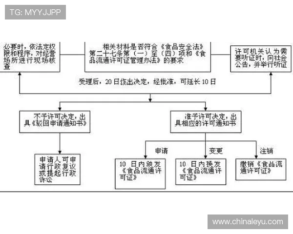 乐鱼在线注册流程详细步骤解析帮助用户理解每个环节的操作要点与注意事项