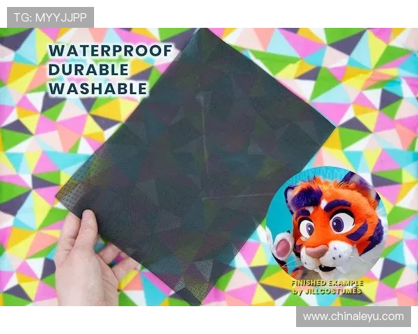 乐鱼在线网页版登录不了的原因分析与快速解决方法详解